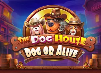 Pragmatic : The Dog House - Dog or Alive - IDAGENT138